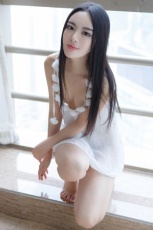 护心电视剧40集免费看_DVD在线观看高清