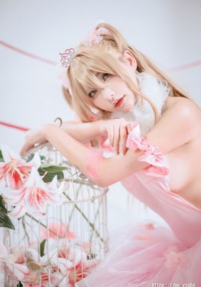 梅花儿香电视剧免费观看全集_高清手机免费观看完整