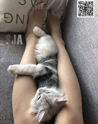 依人网_超清电视剧在线观看