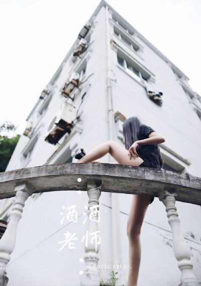 理论电影在线播放_免费在线观看