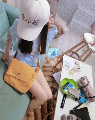 电视剧向风而行_HD动漫免费观看